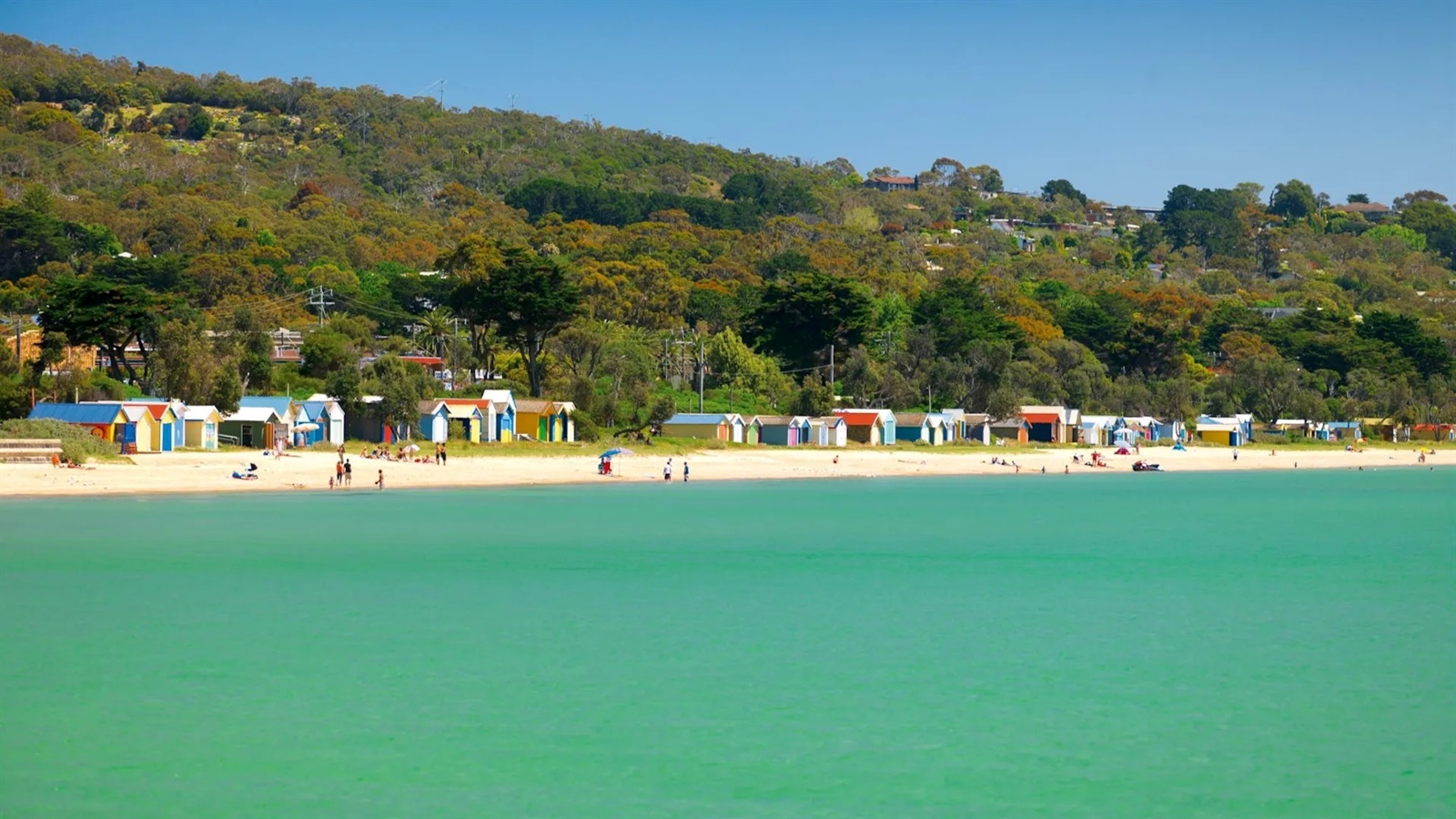 The Bay Trail Safety Beach to Portsea Cycling Track
