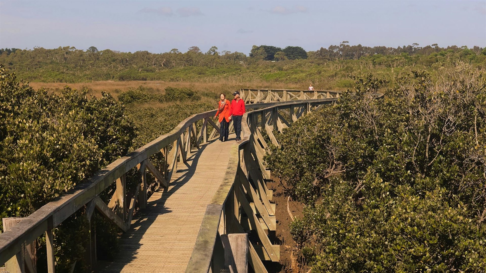 Warringine Park & Bittern Coastal Wetlands Boardwalk - Cycling