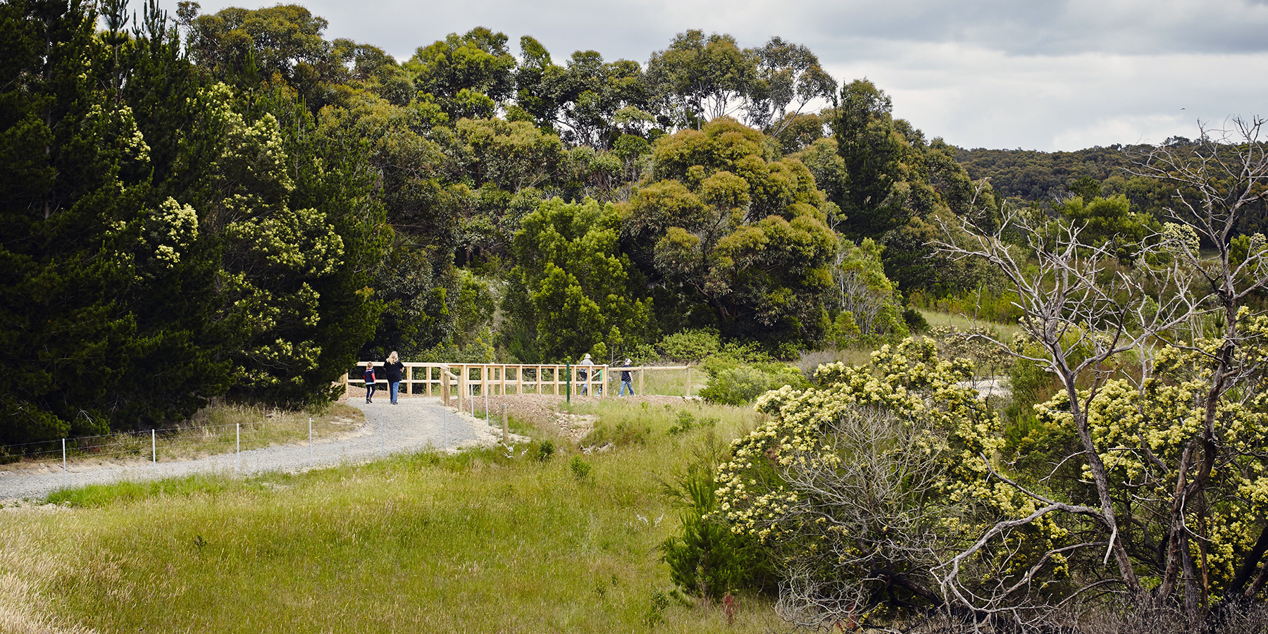 Devilbend Reservoir Walking Tracks, Mornington Peninsula