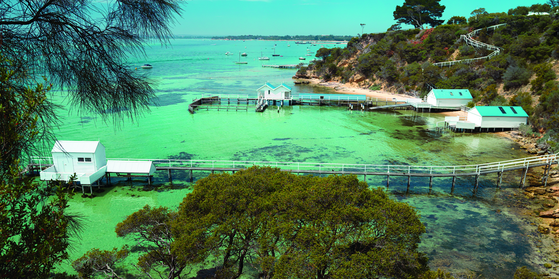 Millionaires Walk, Mornington Peninsula