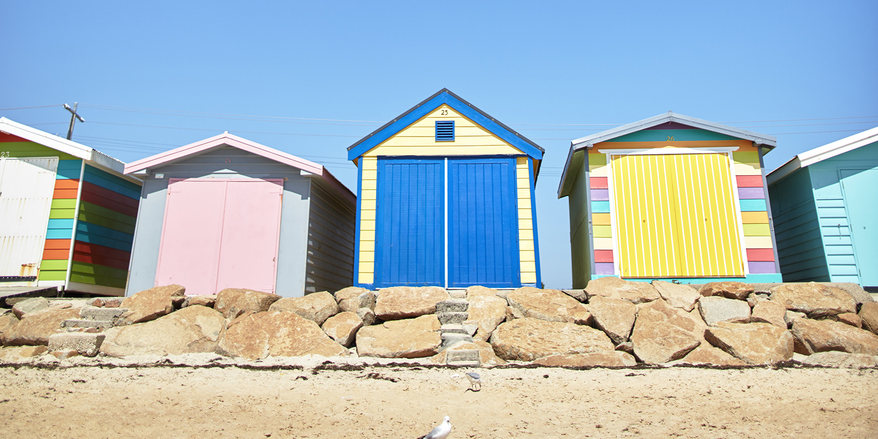 Buckle up for a day of family fun. Safety Beach