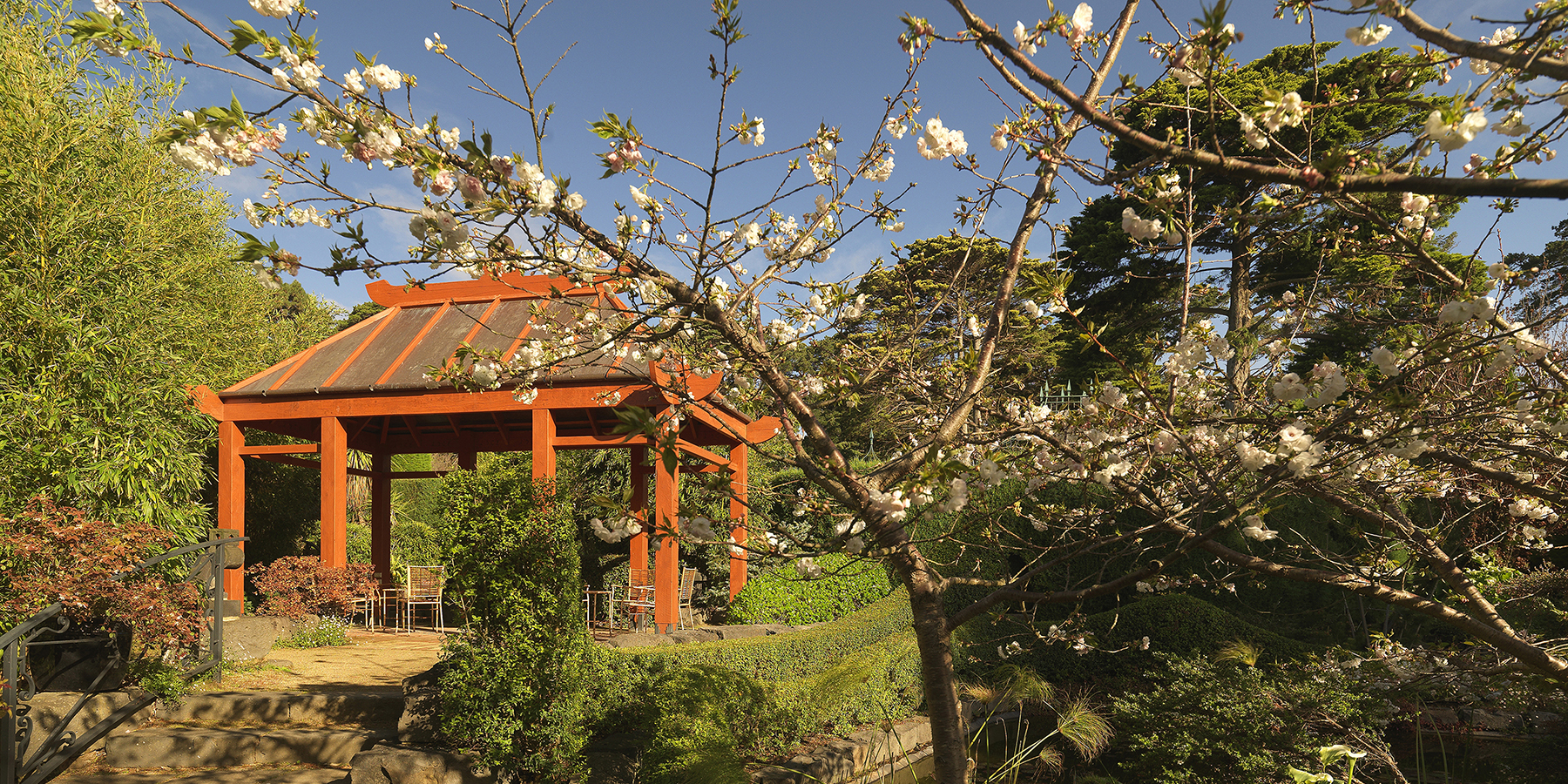 Beleura House and Gardens, Mornington, Mornington Peninsula