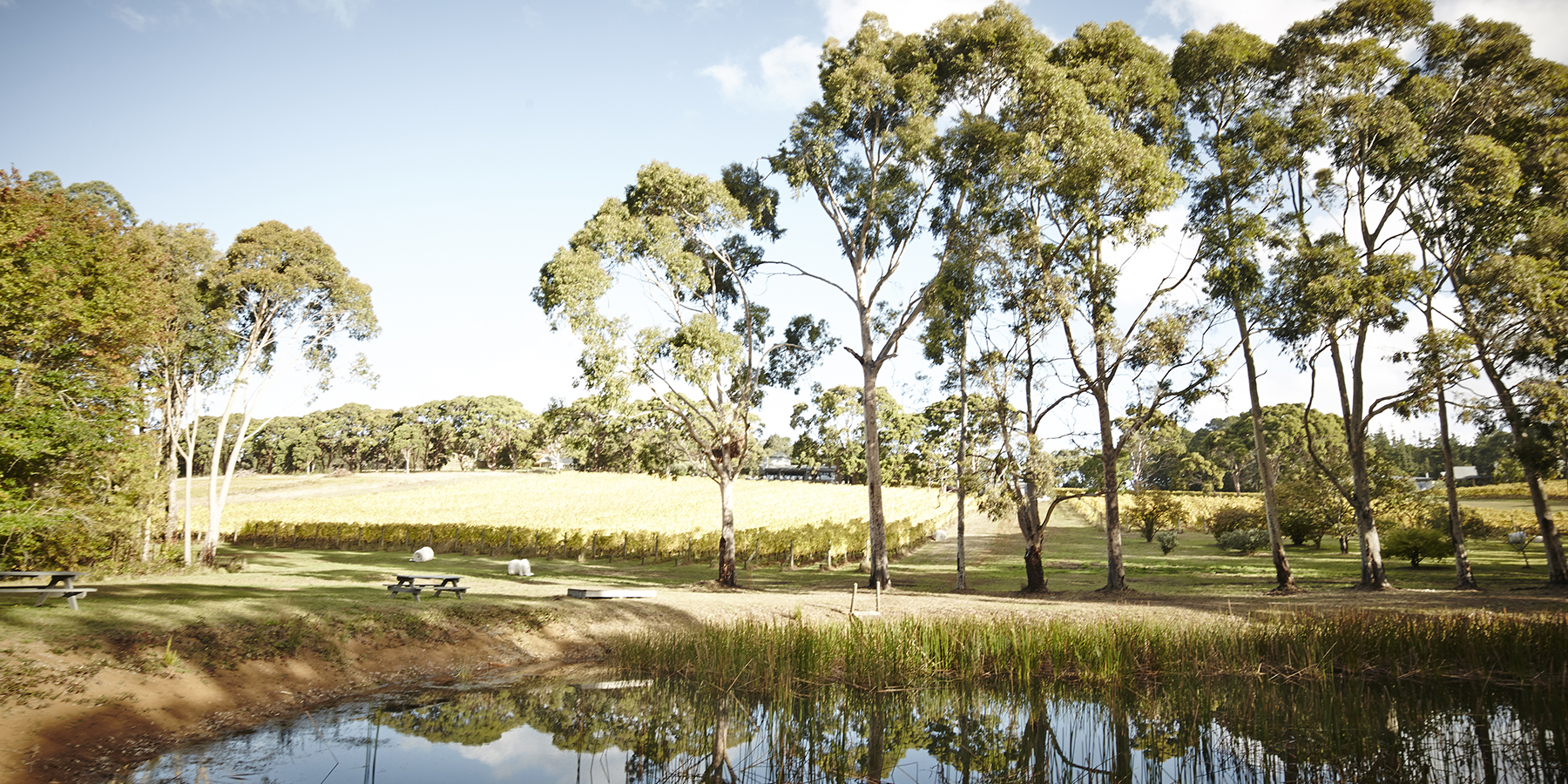 Picnic inspiration, Mornington Peninsula