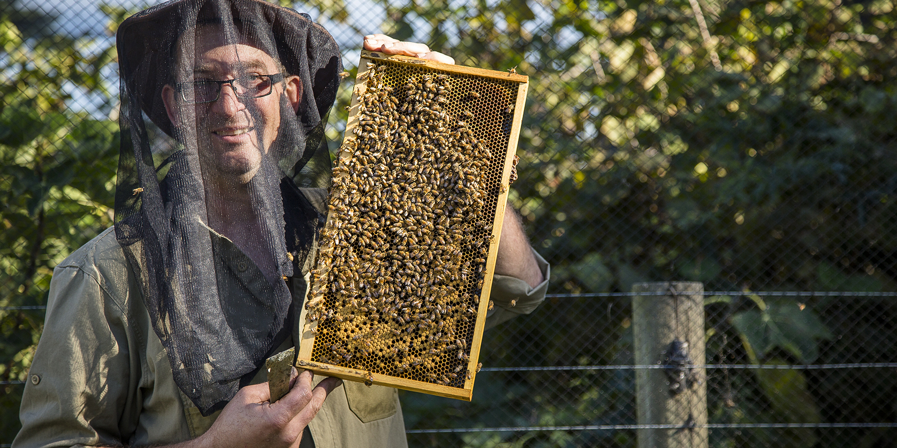 Meet our local growers, Pure Peninsula Honey, Mornington Peninsula