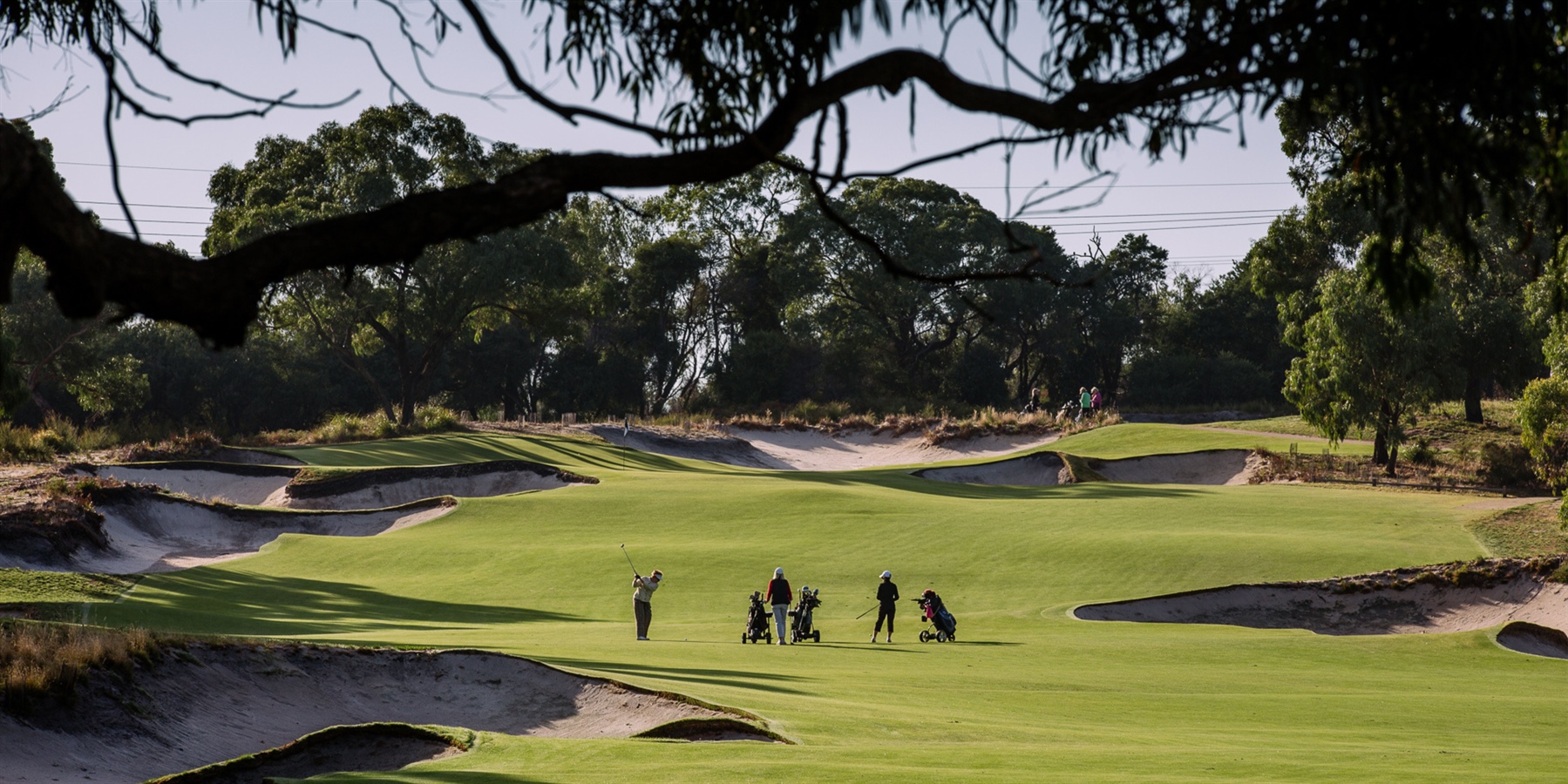 golf, peninsula kingswood country club, frankston