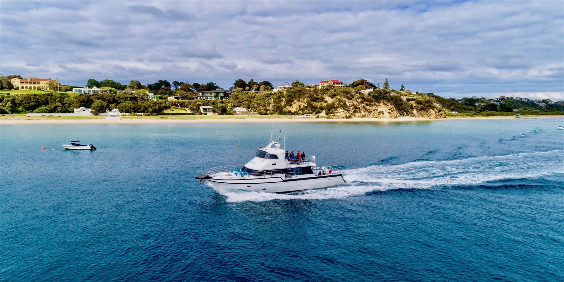 moonraker dolphin swims, seal, adventure tours, dolphins, marine activities, thrilling tours, Sorrento, Port Phillip