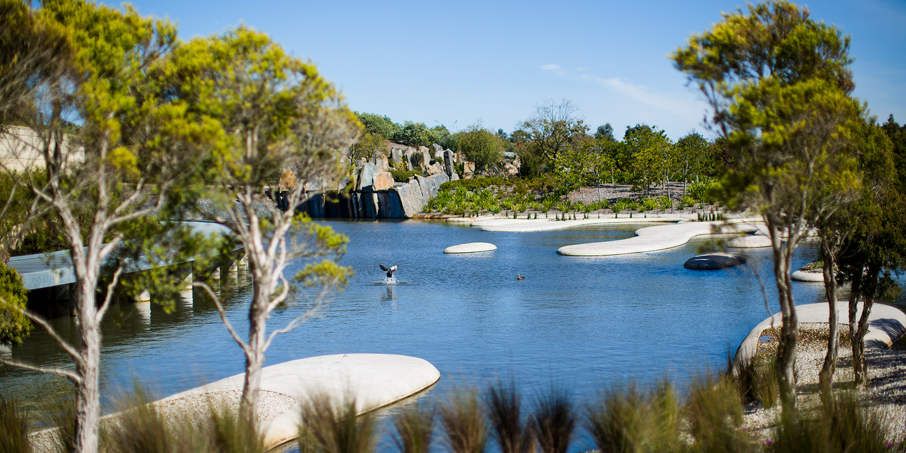 Royal Botanic Gardens Victoria launches free shuttle bus service 