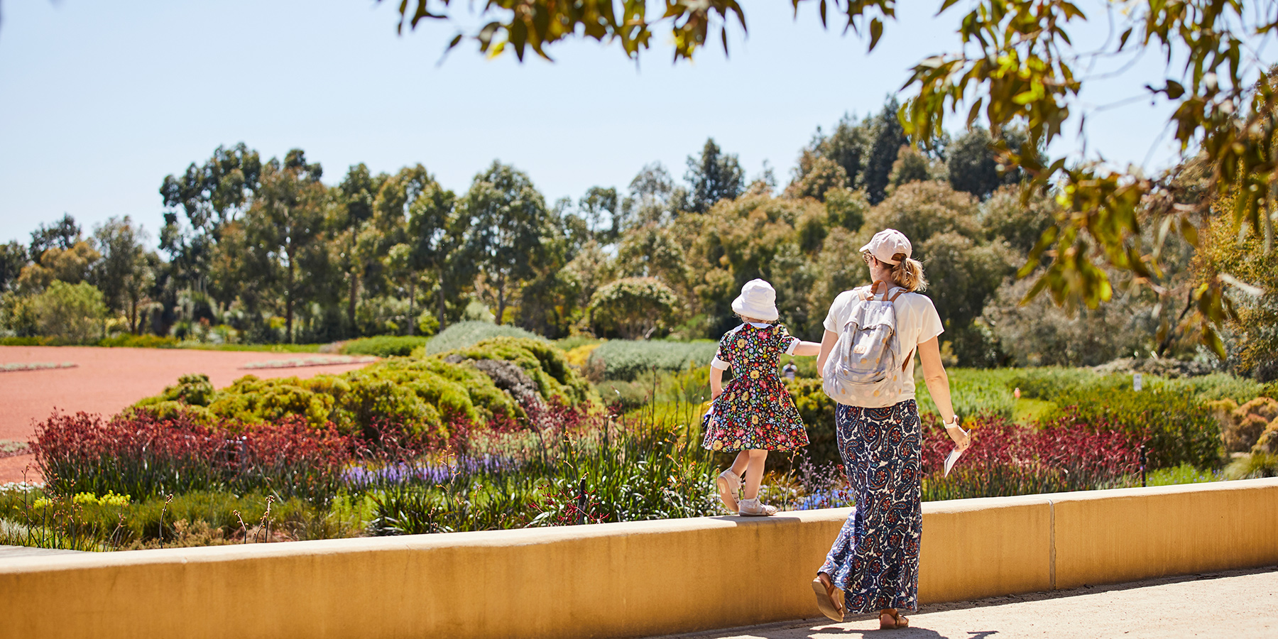 Royal Botanic Gardens Victoria launches free shuttle bus service 