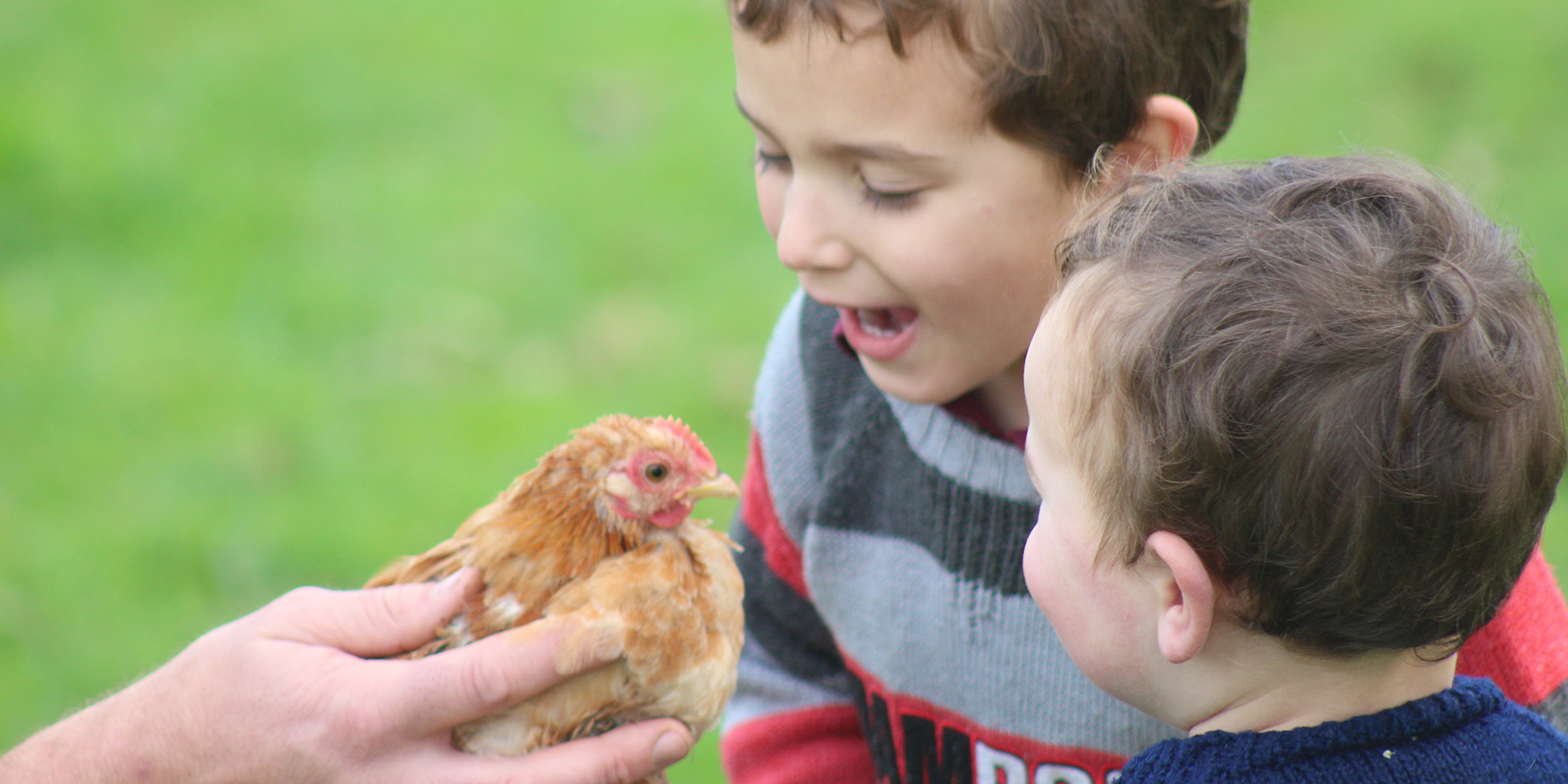 rain hayne shine, great family friendly activities, Mornington Peninsula