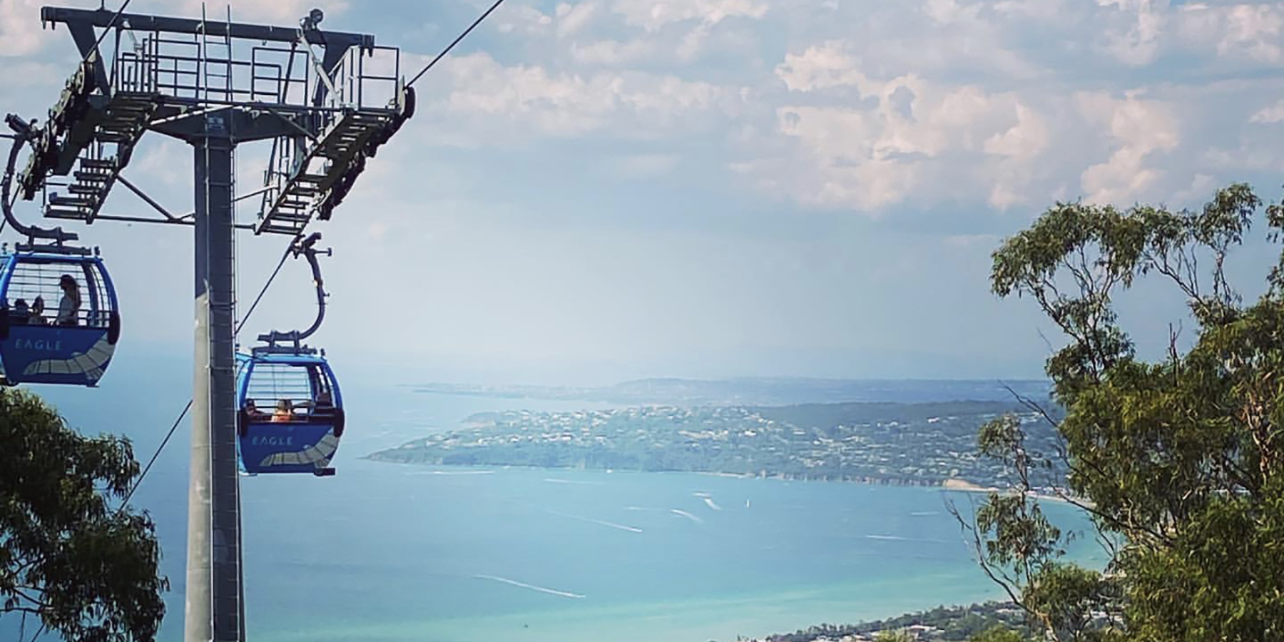 Arthurs Seat Eagle, Mornington Peninsula