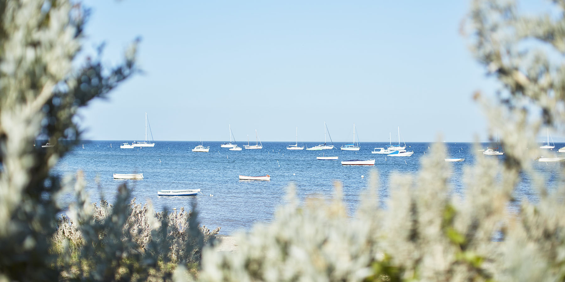 The Bay Trail, Blairgowire, Mornington Peninsula