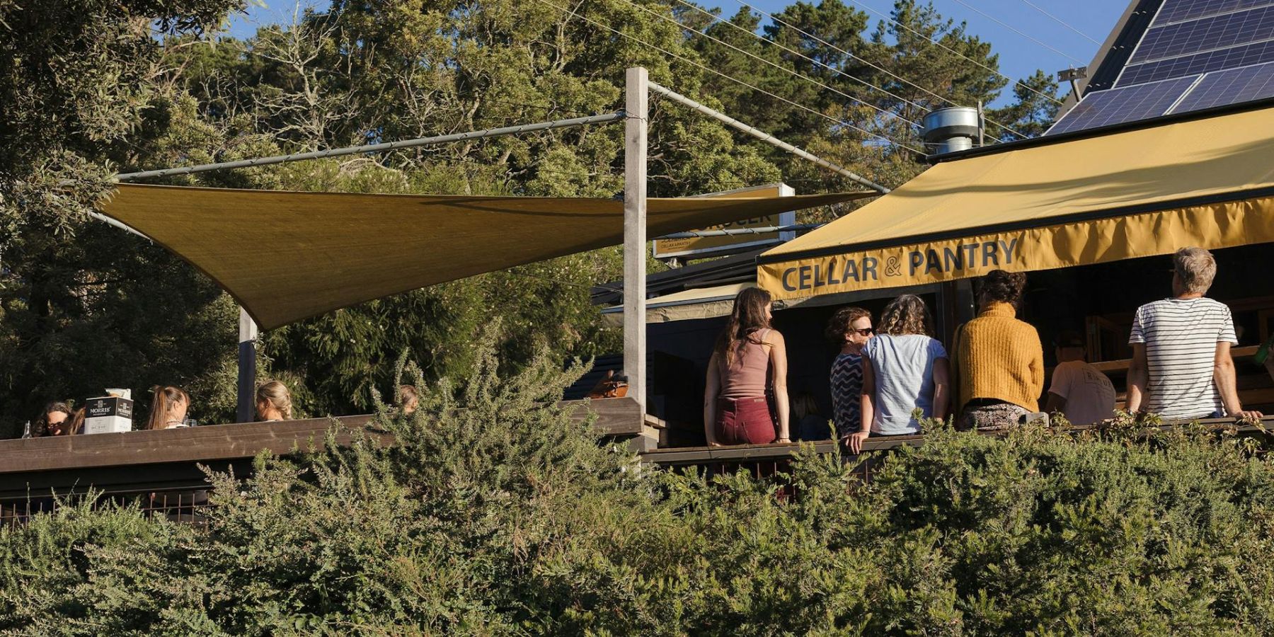 Best Coffee Visit Red Hill Mornington Peninsula