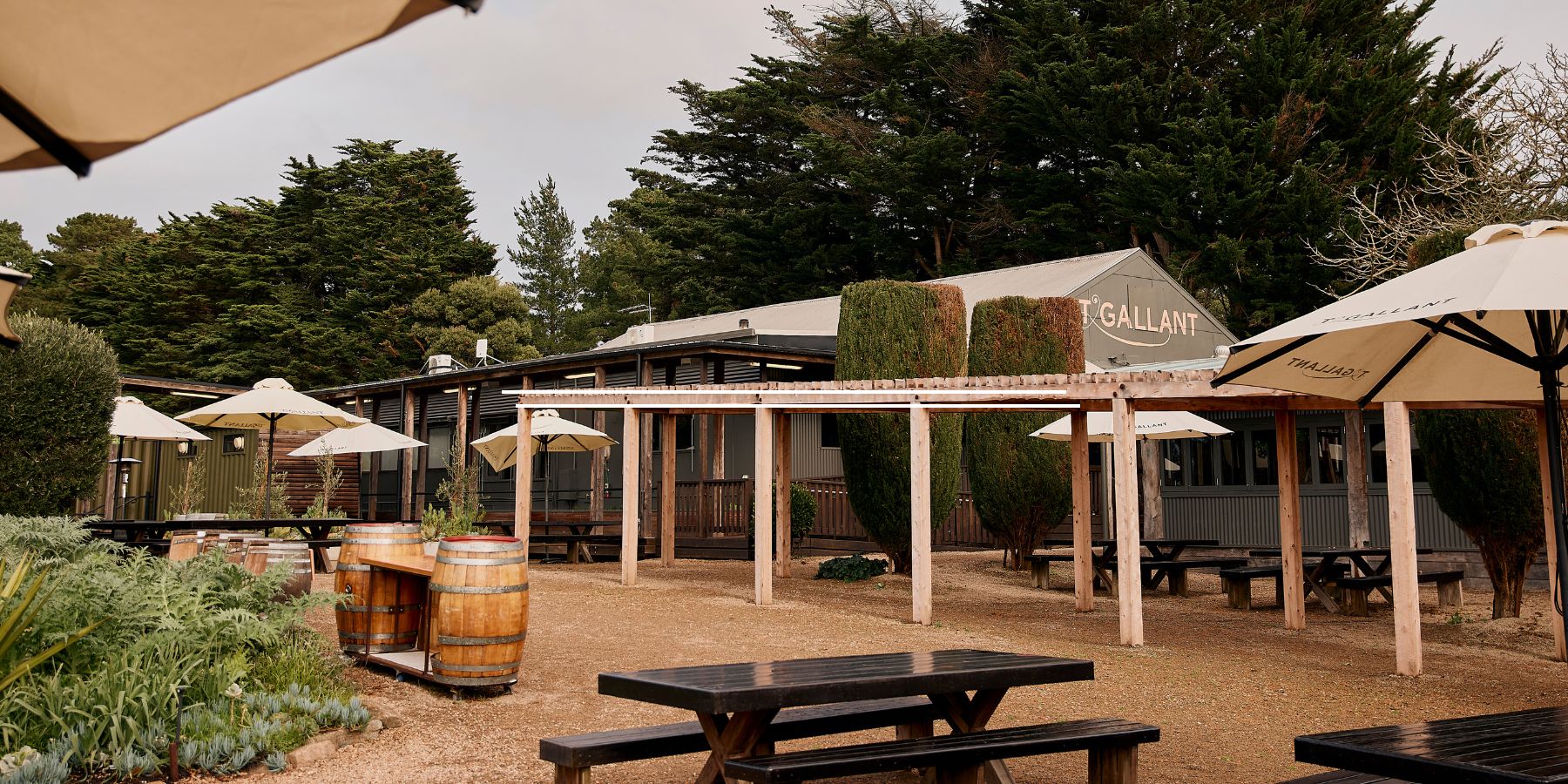 T'Gallant Vineyard Red Hill