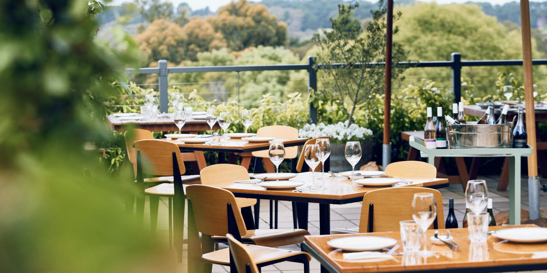 Morning Son Vineyard 