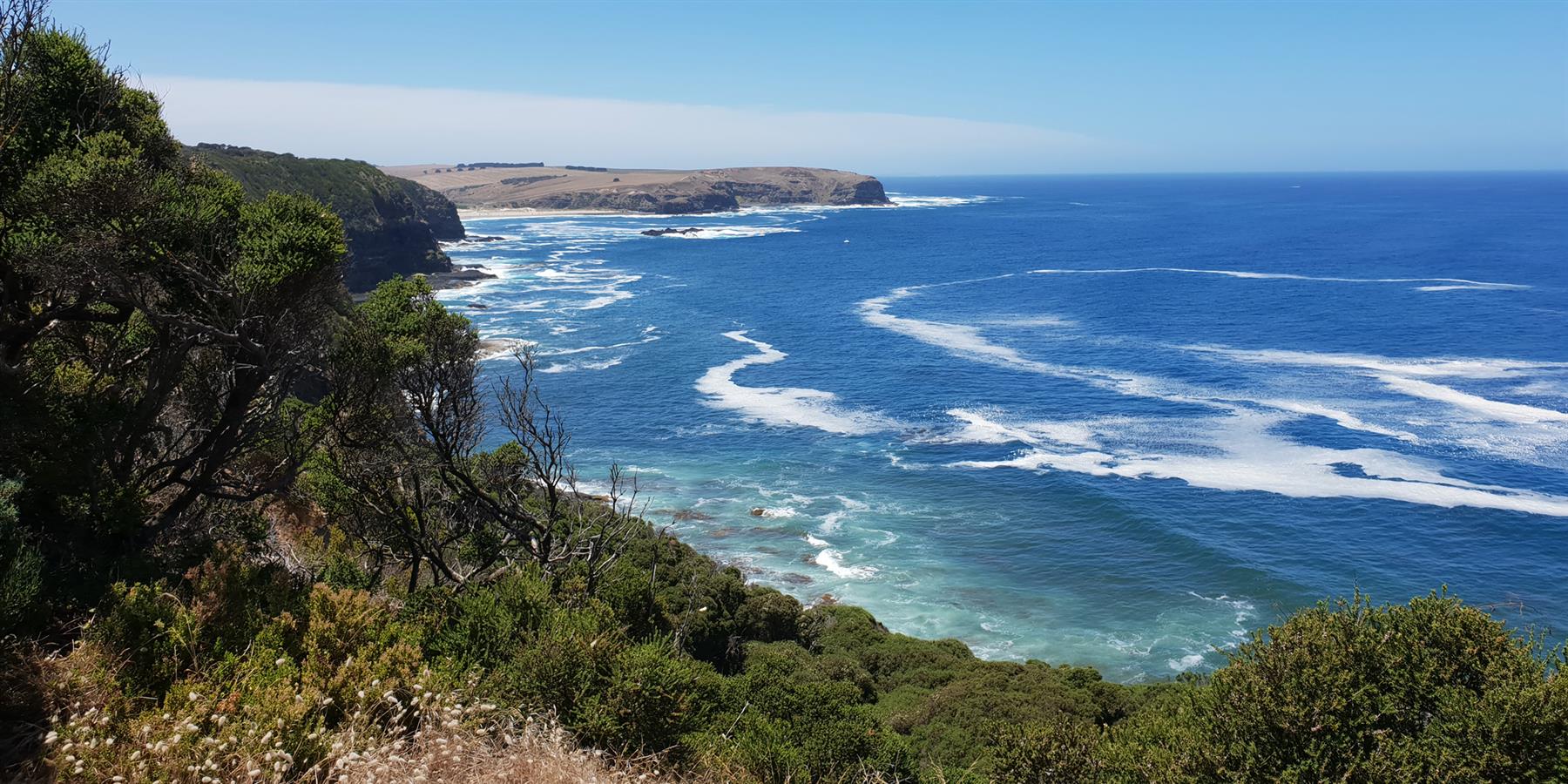 Cape Schanck to Bushrangers Bay, Mornington Peninsula