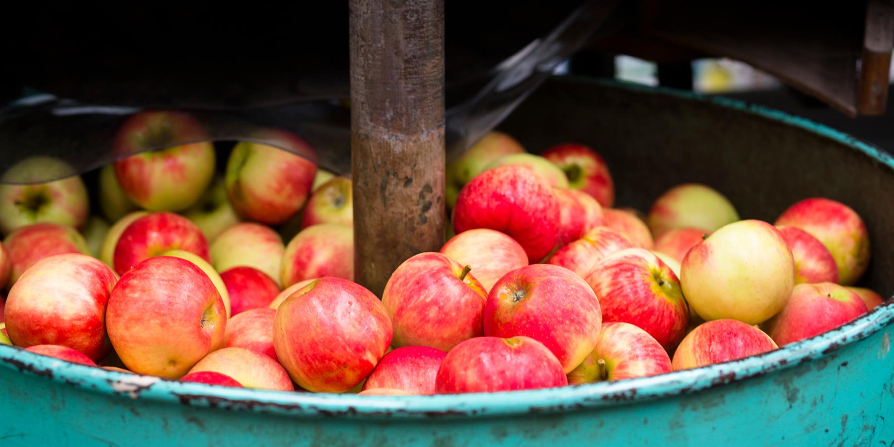 Explore the Beer Cider Spirits Trail from home