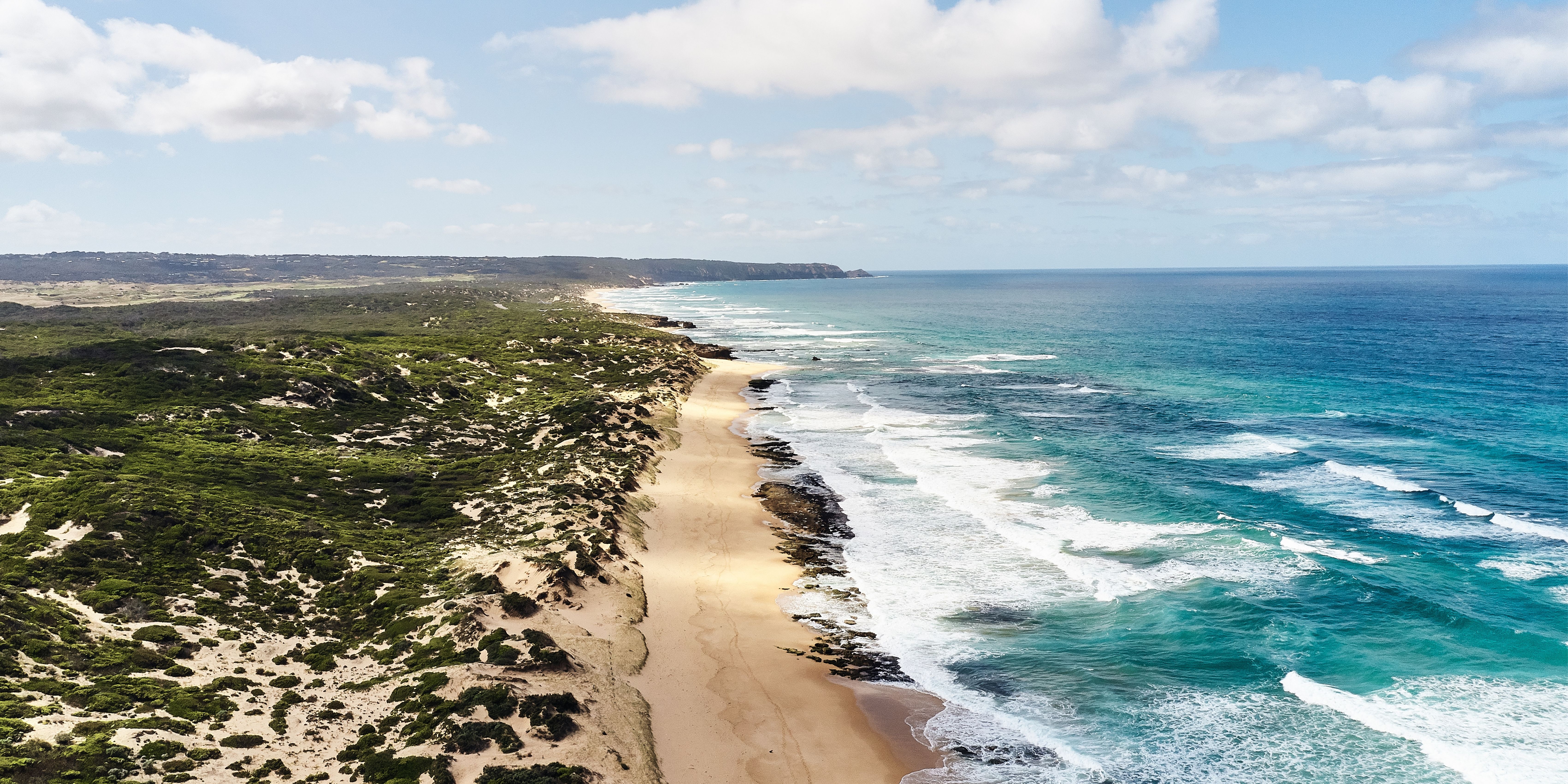 Surf s up Top 4 surfing beaches Visit Mornington Peninsula
