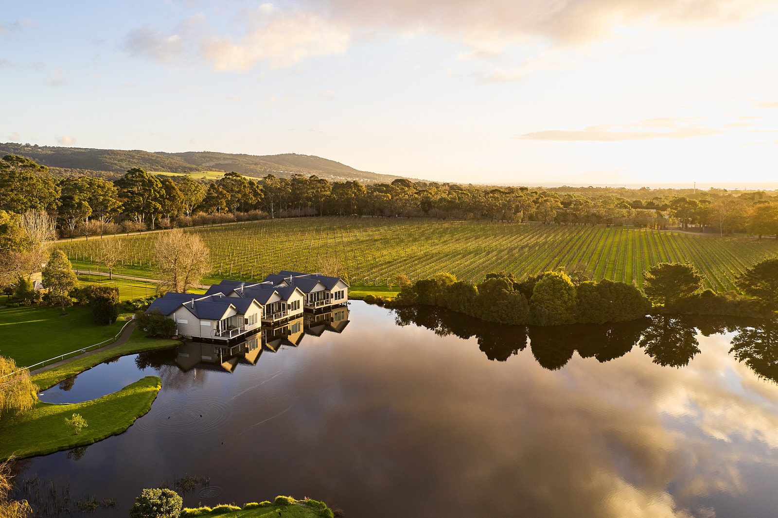 Winery accommodation online